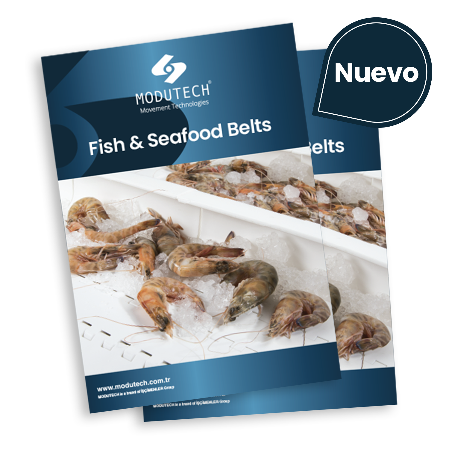 Bandas para Procesamiento Pescado y Mariscos