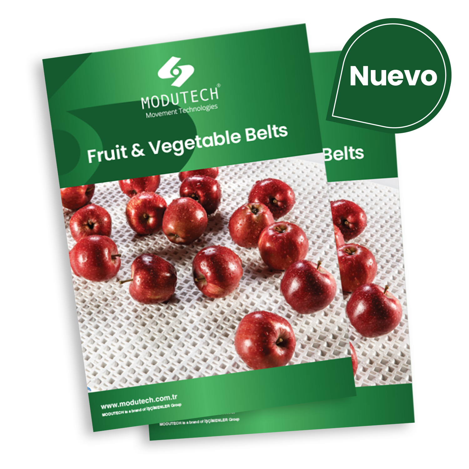 Bandas para Procesamiento Frutas y Verduras