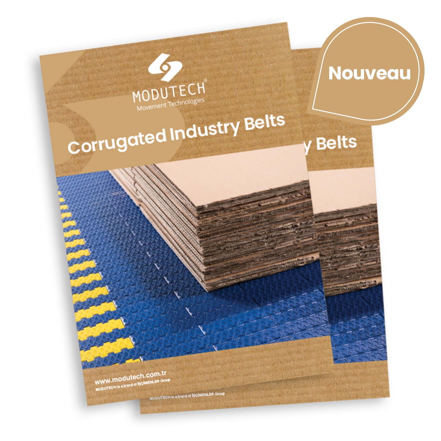 Bandes pour l'industrie du carton ondüle