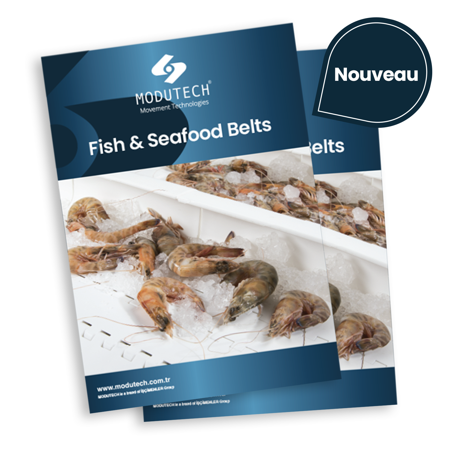 Bandes transporteuses pour poissons et fruits de mer