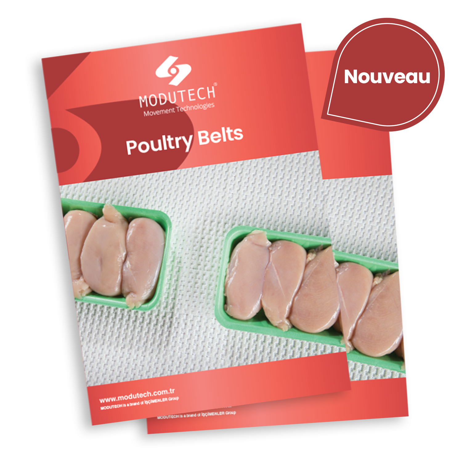 Bandes transporteuses pour la transformation de la volaille