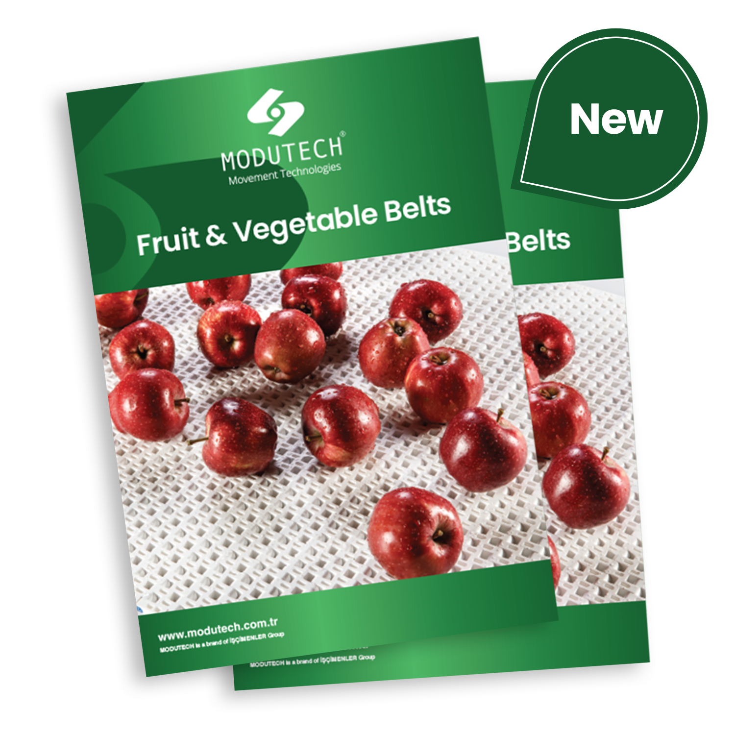 Fruit and Vegetable Belts